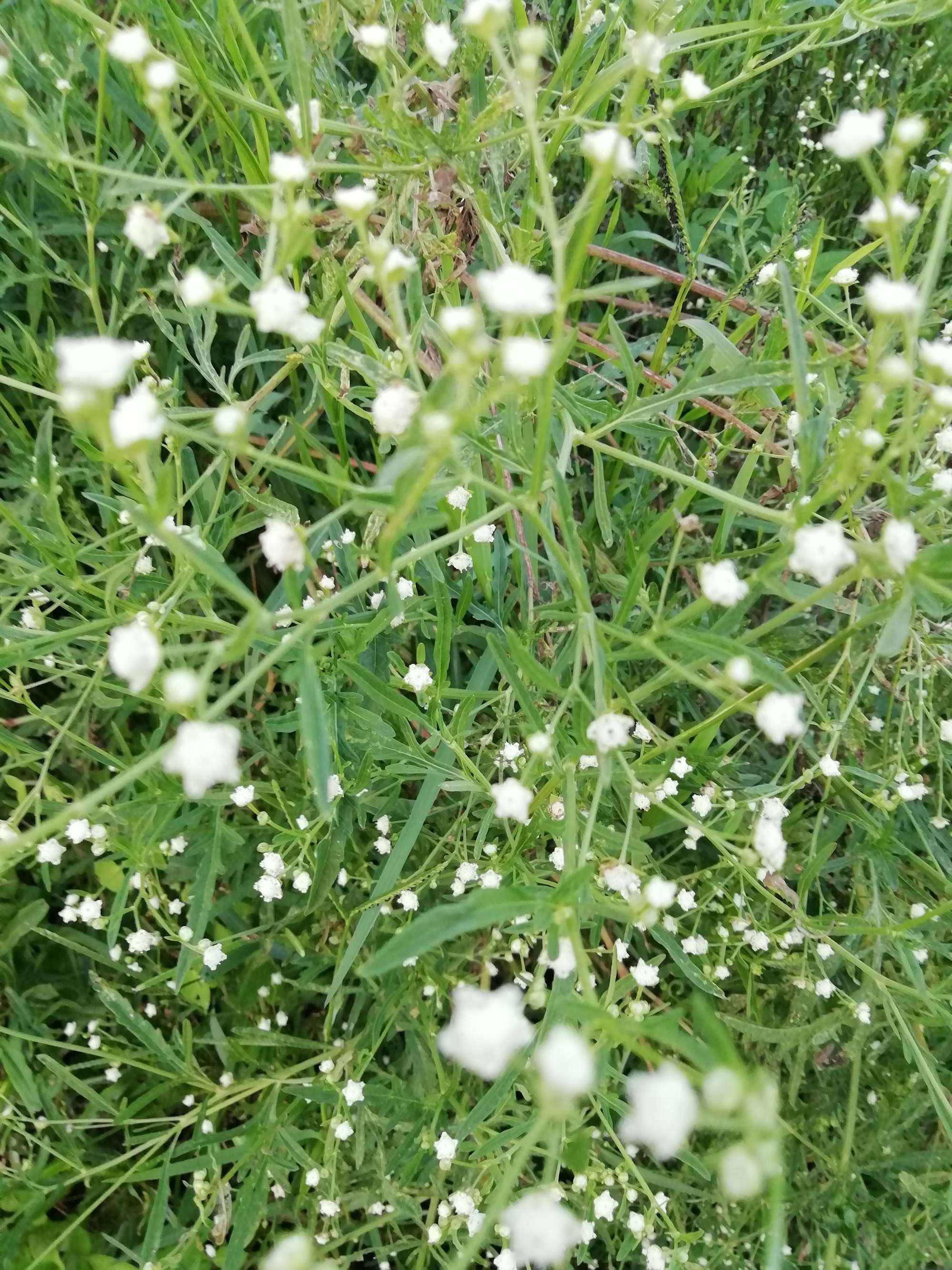 讲解！照片合二为一“星星点点”