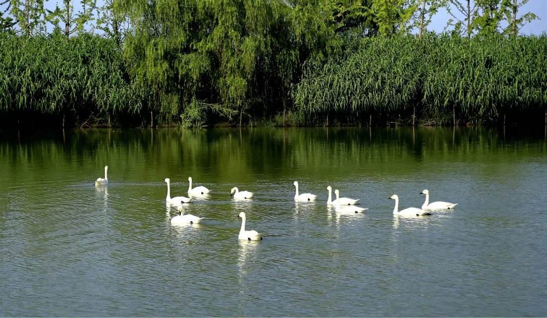 分析！洪泽湖农家乐