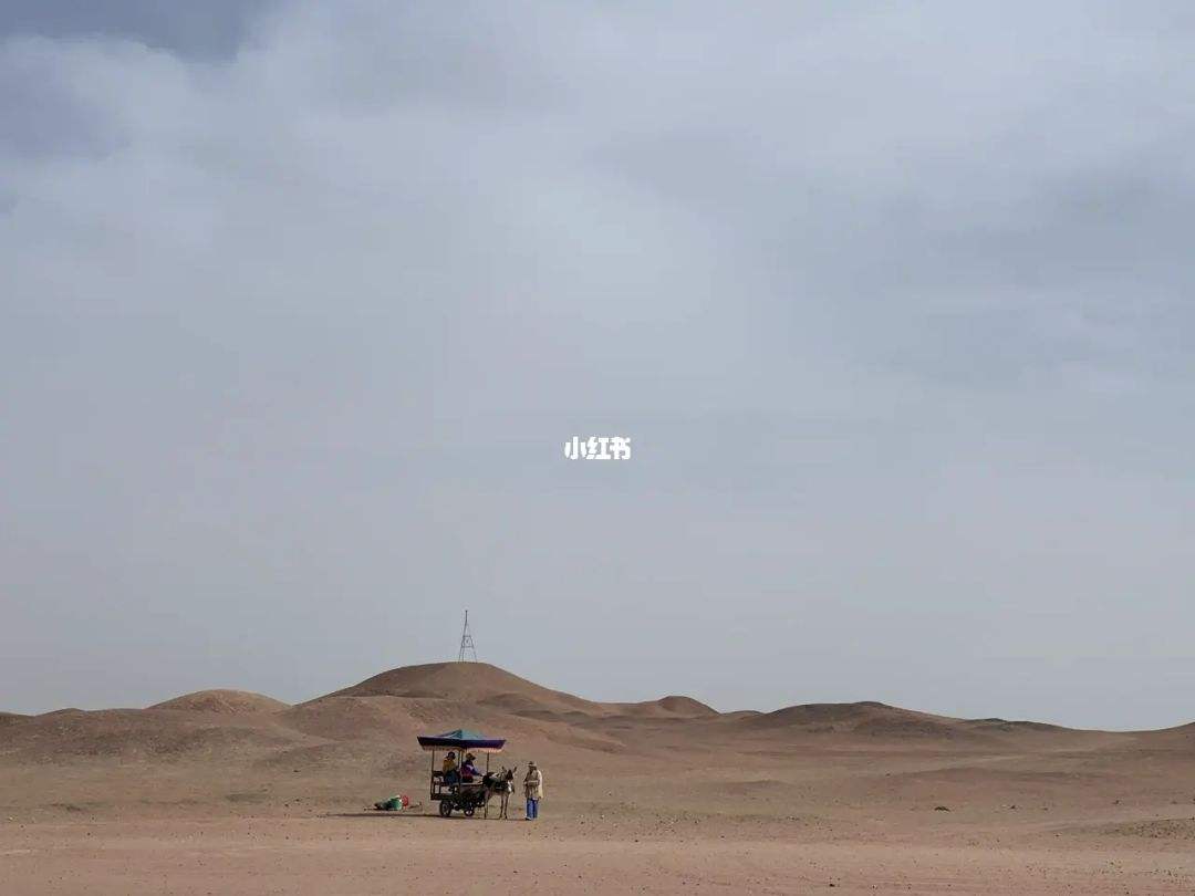 分析！西出阳关无故人中的故人是指