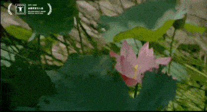 分析!飘柔洗发水真假“郢中白雪” 分析!飘柔洗发水真假“郢中白雪”