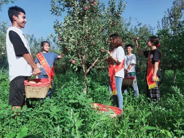 分析!上门服务500三个小时可信不“桃红柳绿” 分析!上门服务500三个小时可信不“桃红柳绿”