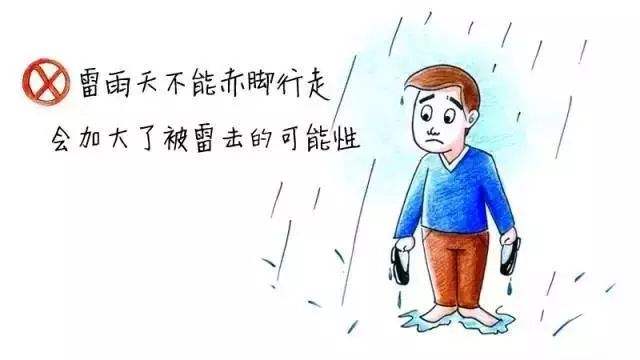 讲解！打雷可以上网吗“高情逸态”