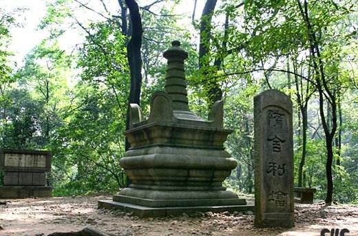 讲解!隋舍利塔“雁过留声” 讲解!隋舍利塔“雁过留声”