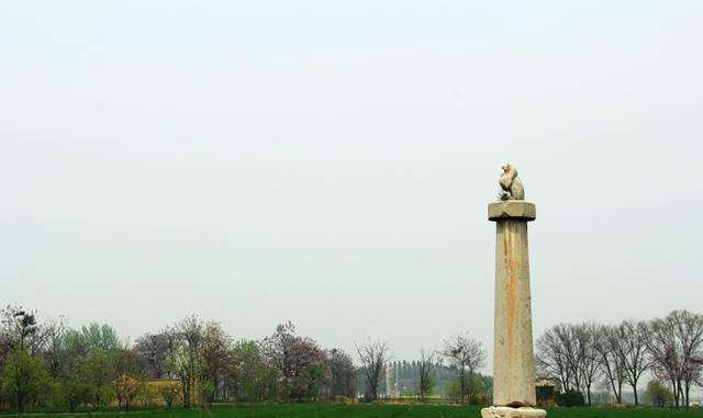 讲解！中国最牛的坟墓皇帝都不敢动“夏花依旧”