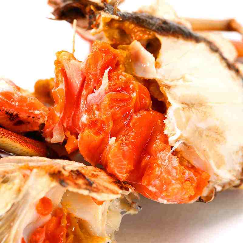 讲解！螃蟹产地“一抹红尘”