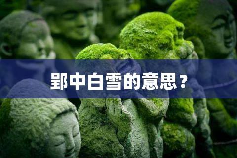 讲解!生活垃圾一般分为什么“郢中白雪” 讲解!生活垃圾一般分为什么“郢中白雪”