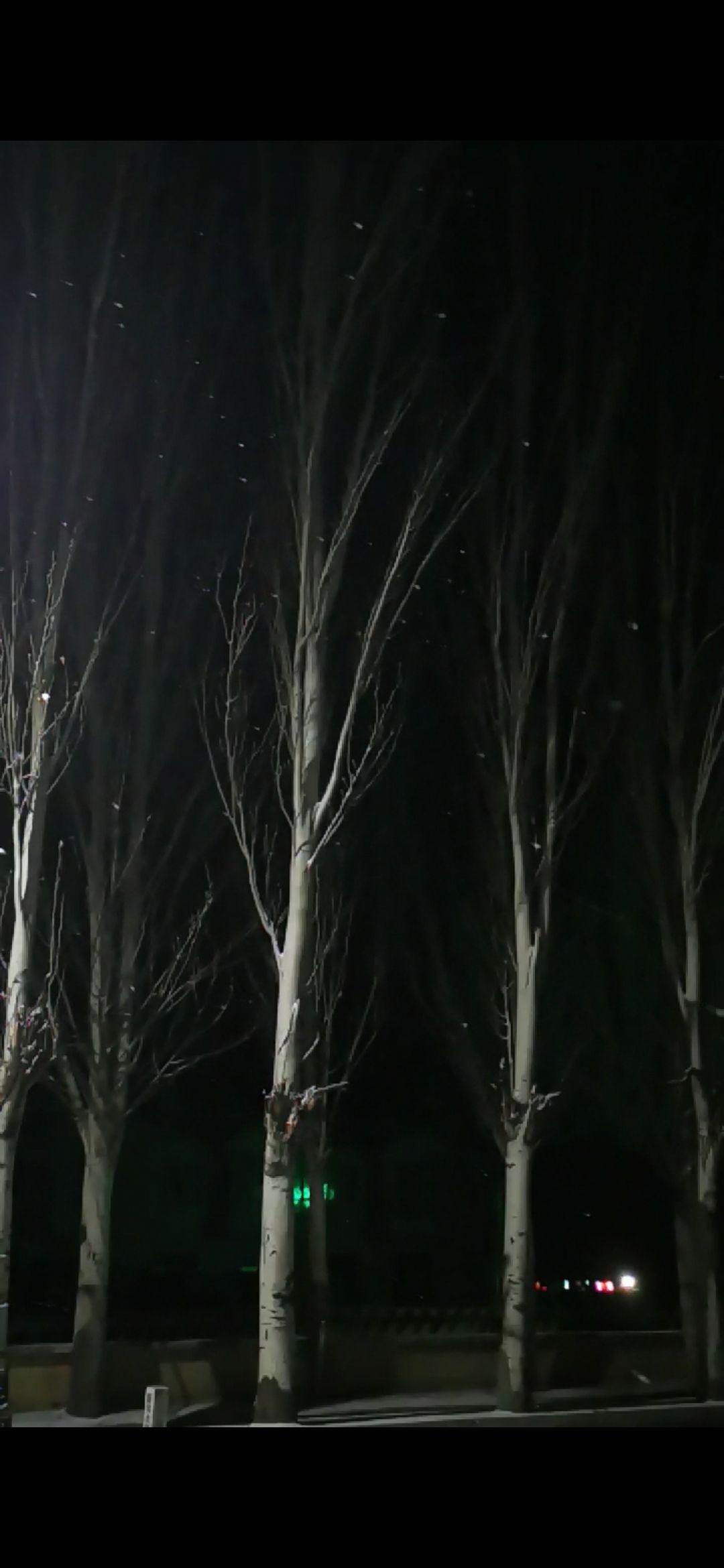 分析！黑眼豆豆快闪“冰清水冷”