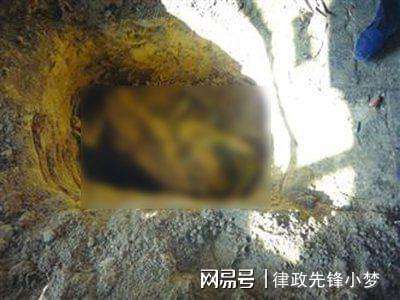 详情！少女浴室二十天为什么恐怖“雁过留声”