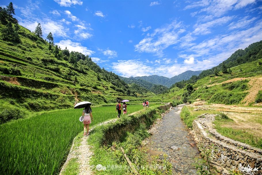 达人分享！雷公黑客教程“夏花依旧”