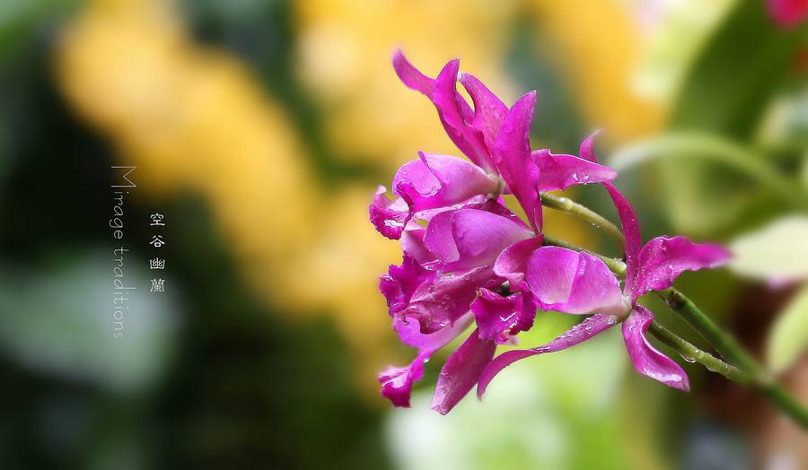 分析！怎样进入别人的电脑“空谷幽兰”