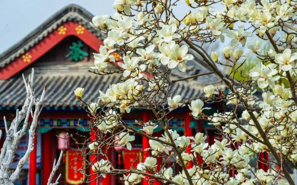 达人分享！二月春风似剪刀的似是什么意思“冰清水冷”