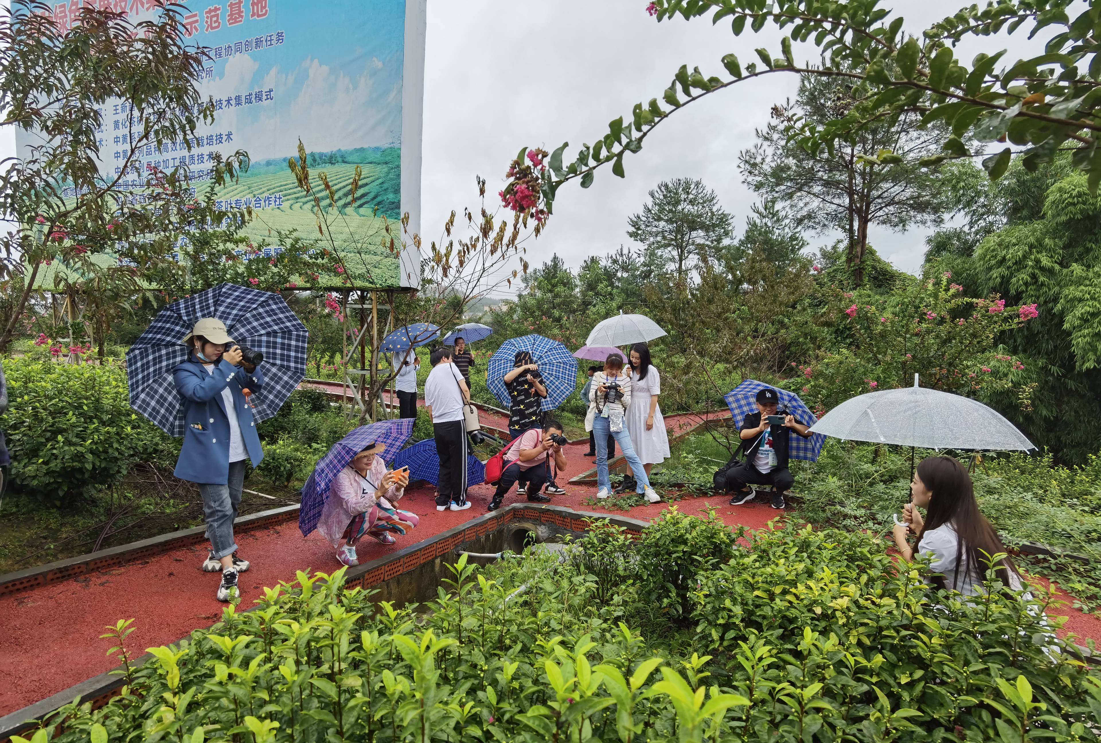 达人分享！二月春风似剪刀的似是什么意思“冰清水冷”
