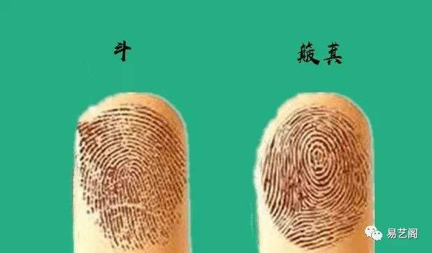 分析！手掌相学“雁过留声”