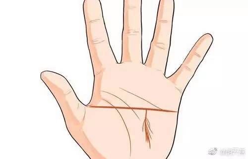 分析!手掌相学“雁过留声” 分析!手掌相学“雁过留声”