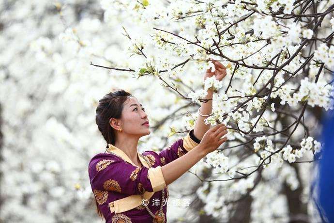 达人分享!皇族队员“高情逸态” 达人分享!皇族队员“高情逸态”