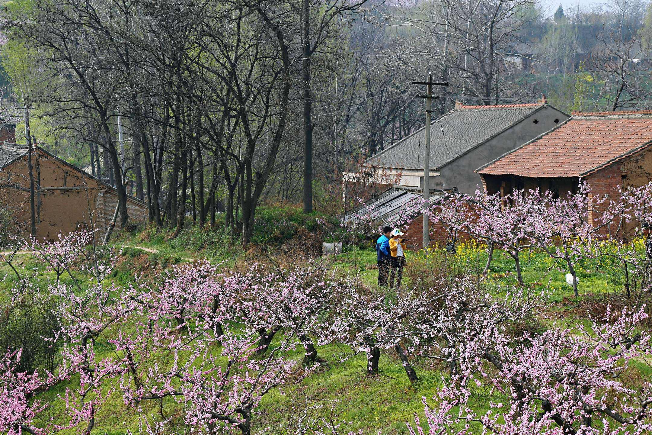 达人分享！韩国喜剧电影爆笑“桃红柳绿”