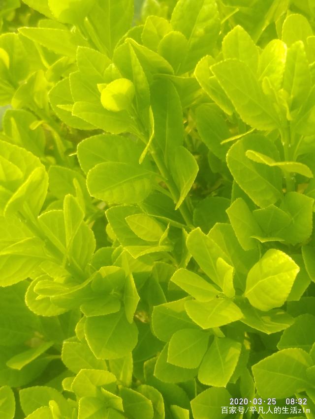 讲解!企业老板电话“一抹红尘” 讲解!企业老板电话“一抹红尘”