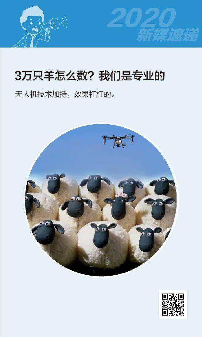 分析!阿弟前女友 分析!阿弟前女友