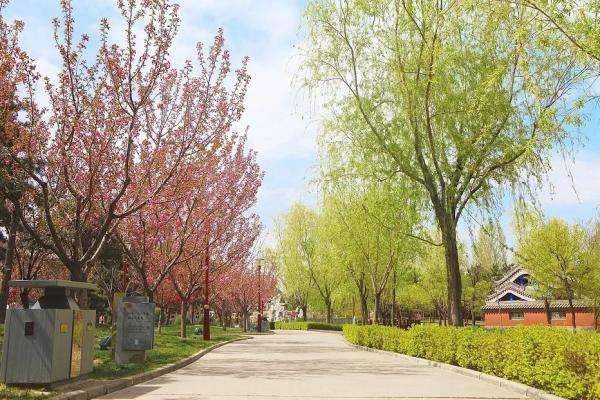 讲解！女人找男人玩“桃红柳绿”