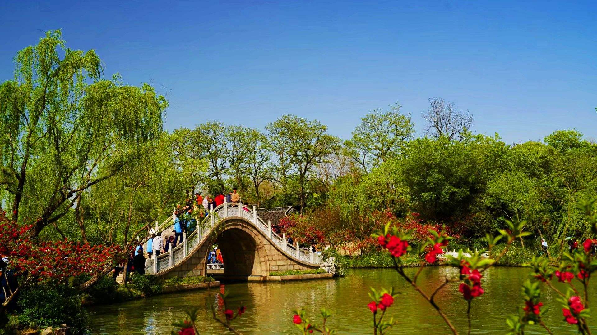 分析！7寸照片尺寸大小“桃红柳绿”