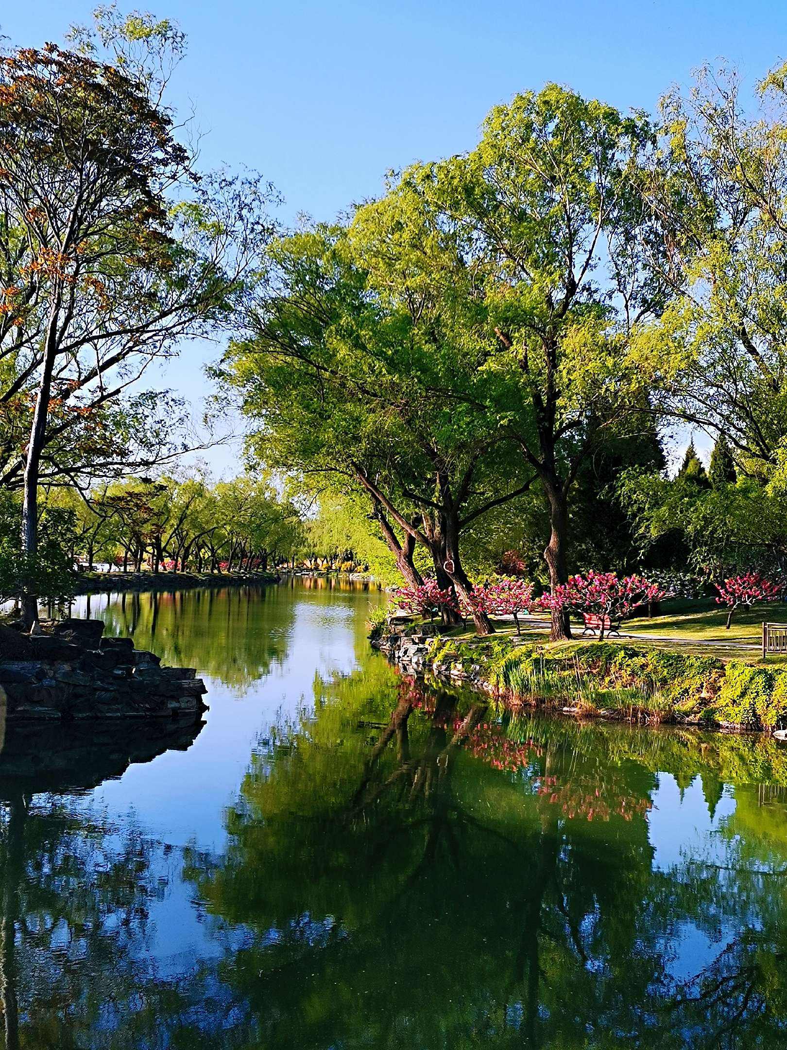 分析！7寸照片尺寸大小“桃红柳绿”