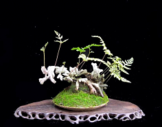 达人分享！1pb等于多少gb“星星点点”