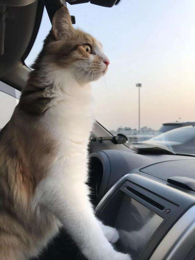 详情！少女浴室20天死亡“典则俊雅”