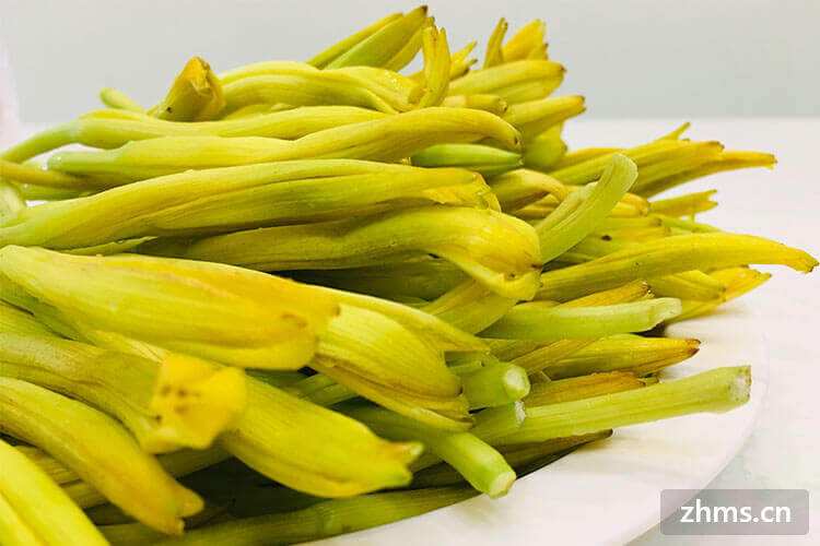 分析！忘忧草实际上是什么“郢中白雪”