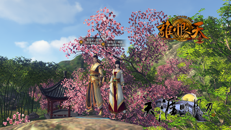 达人分享！天涯明月刀ol职业选择“雁过留声”