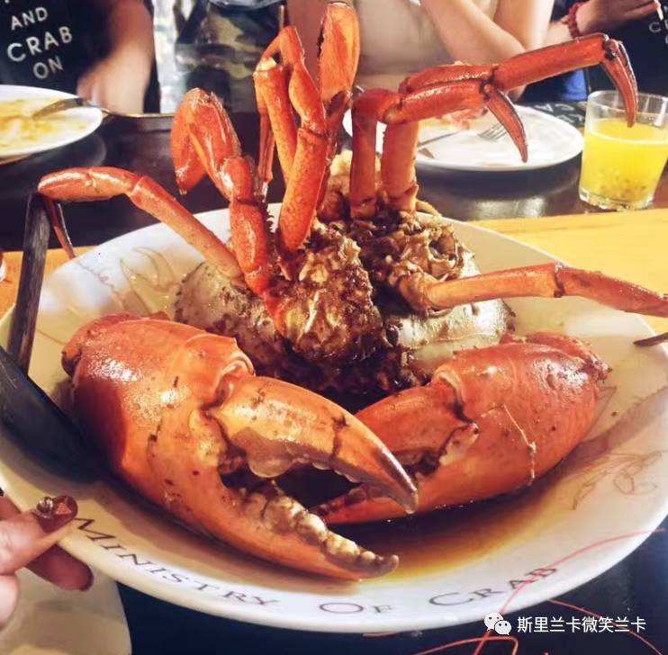 讲解！斯里兰卡八连炸“纯一不杂”