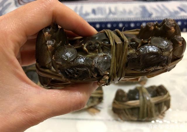 讲解！熟螃蟹保存“夏花依旧”