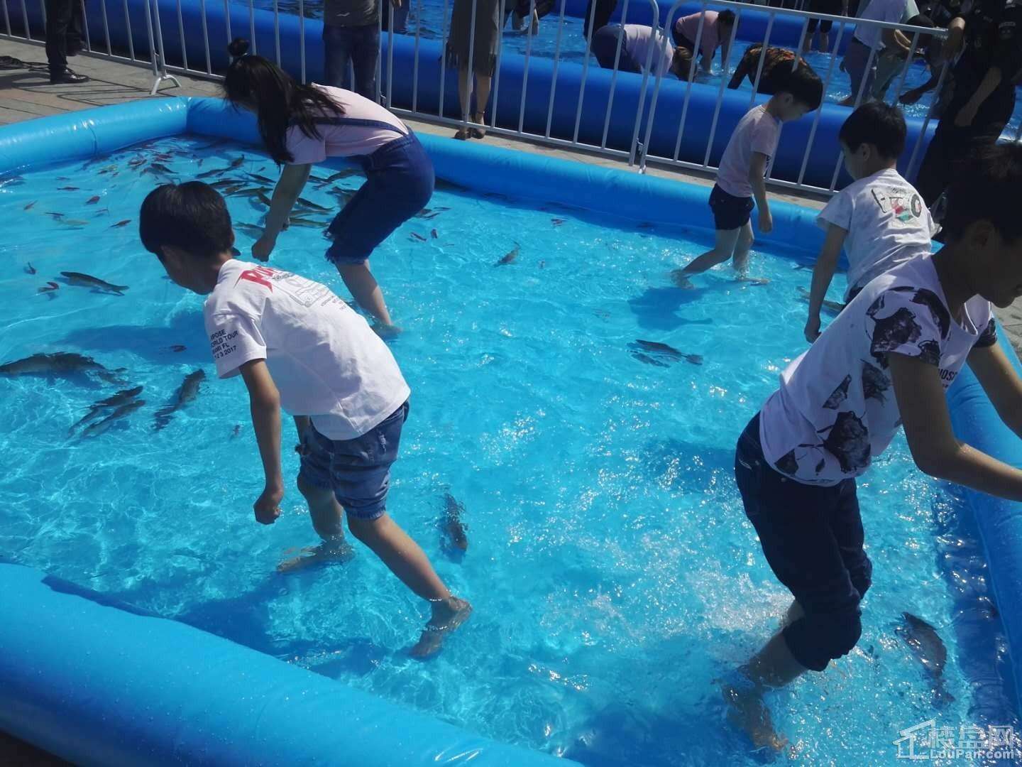 达人分享!水花兄弟的由来“典则俊雅” 达人分享!水花兄弟的由来“典则俊雅”