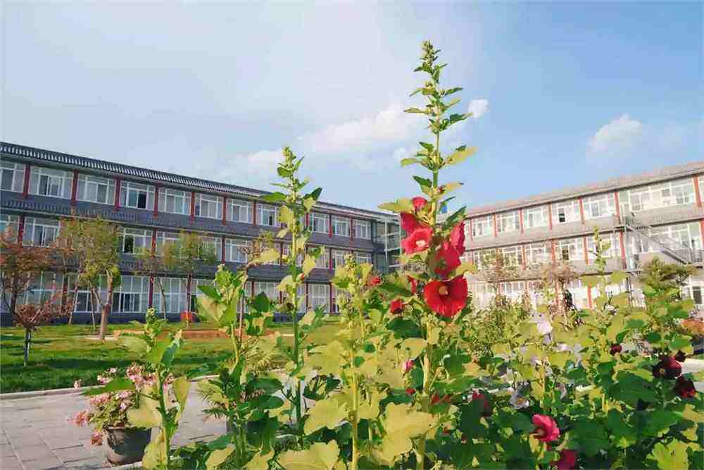 达人分享！人民的名义送审版“桃红柳绿”