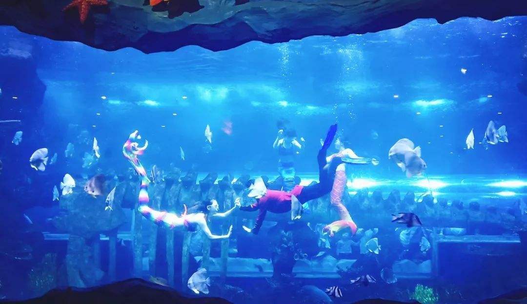 讲解！黄金路国语“高情逸态”