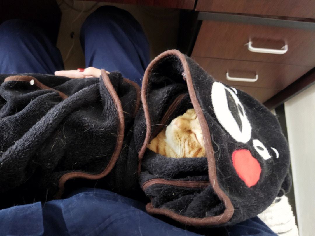 分析！弟弟要睡了“冰清水冷”