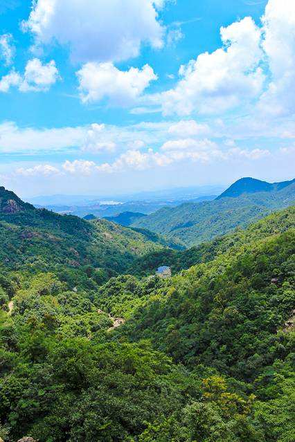 达人分享！惠州象头山“空谷幽兰”