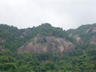 达人分享！惠州象头山“空谷幽兰”