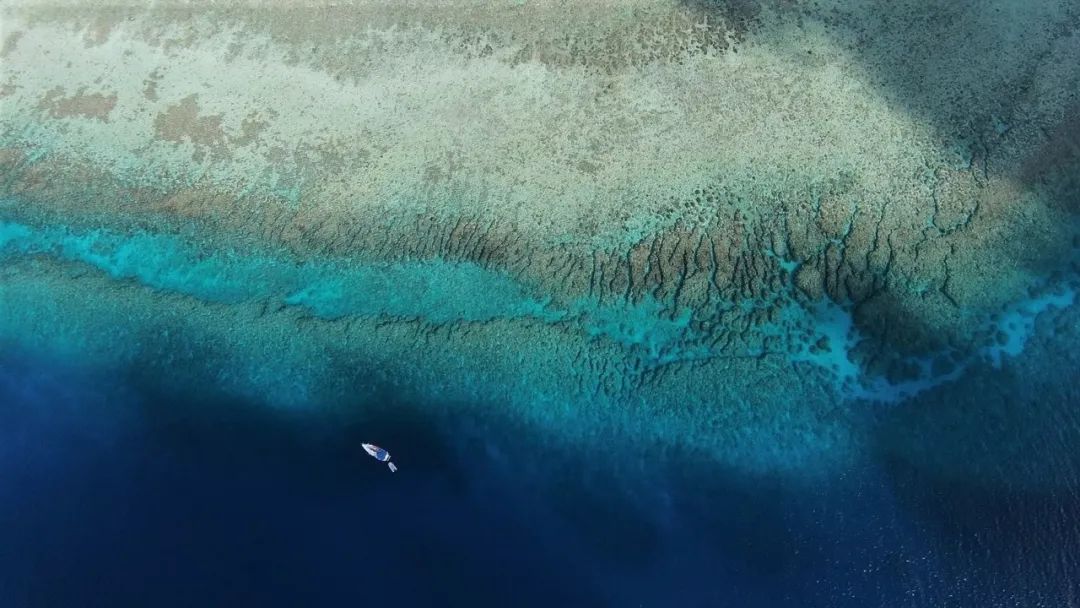 达人分享！西沙群岛实际控制“冰清水冷”