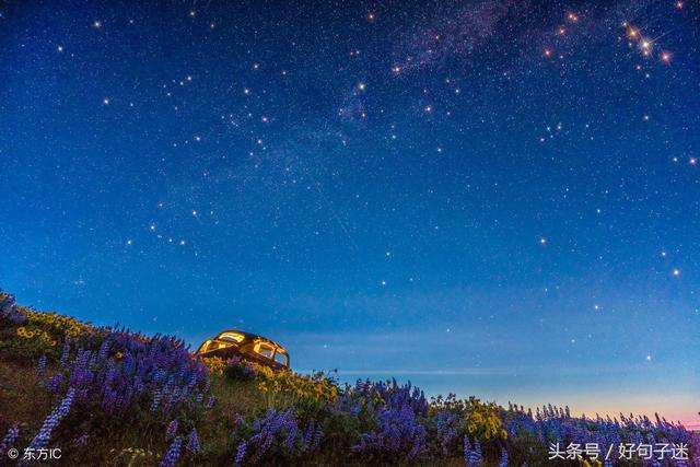 分析！梁山108将怎么死的“夏花依旧”