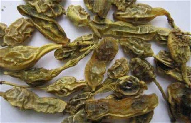 分析！四块五的妞意思“夏花依旧”