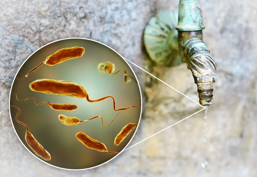 分析！霍乱又称几号病“冰清水冷”