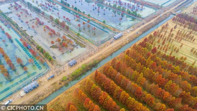 讲解！洪泽湖农家乐“一抹红尘”