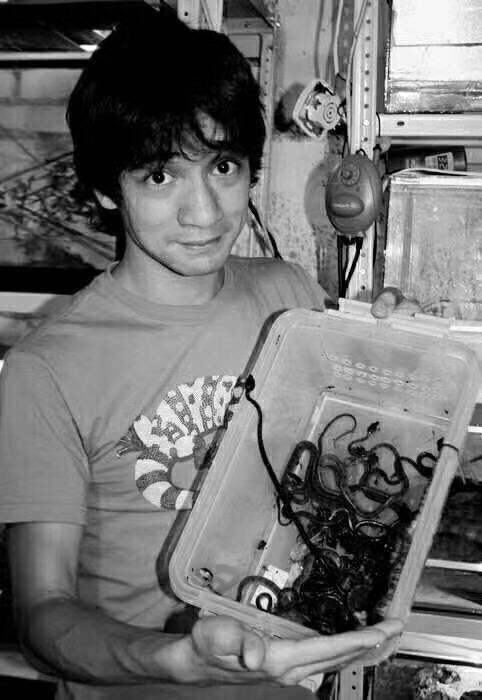 讲解！黑曼巴是什么意思“星星点点”