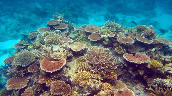 达人分享！西沙群岛实际控制“纯一不杂”