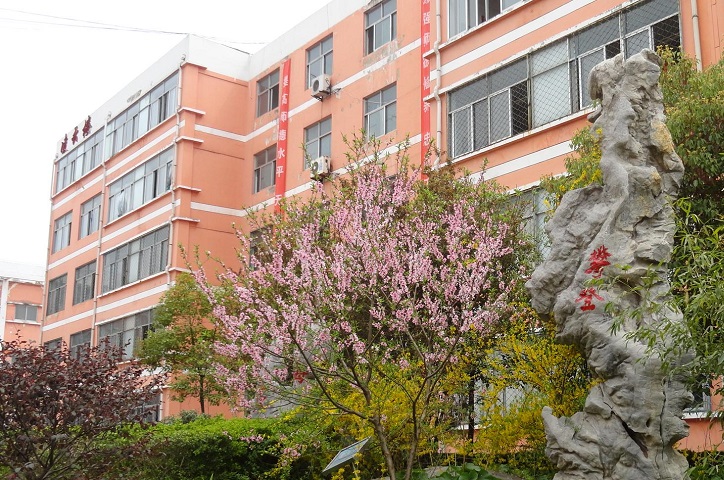 达人分享！江苏高考480分组成“冰清水冷”