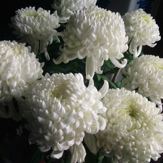 达人分享！完美燃料“空谷幽兰”