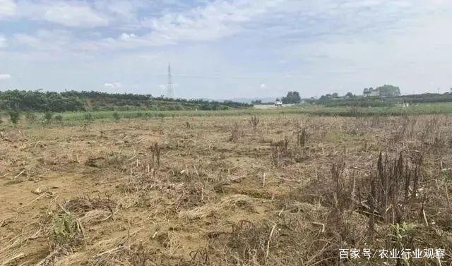 讲解！127号文“雁过留声”