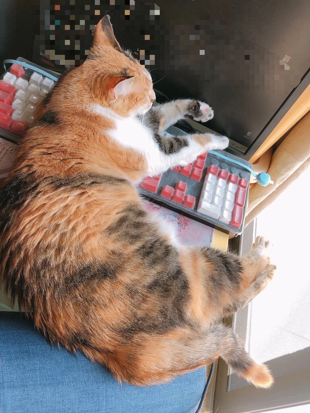 分析！心心骂壮壮“桃红柳绿”