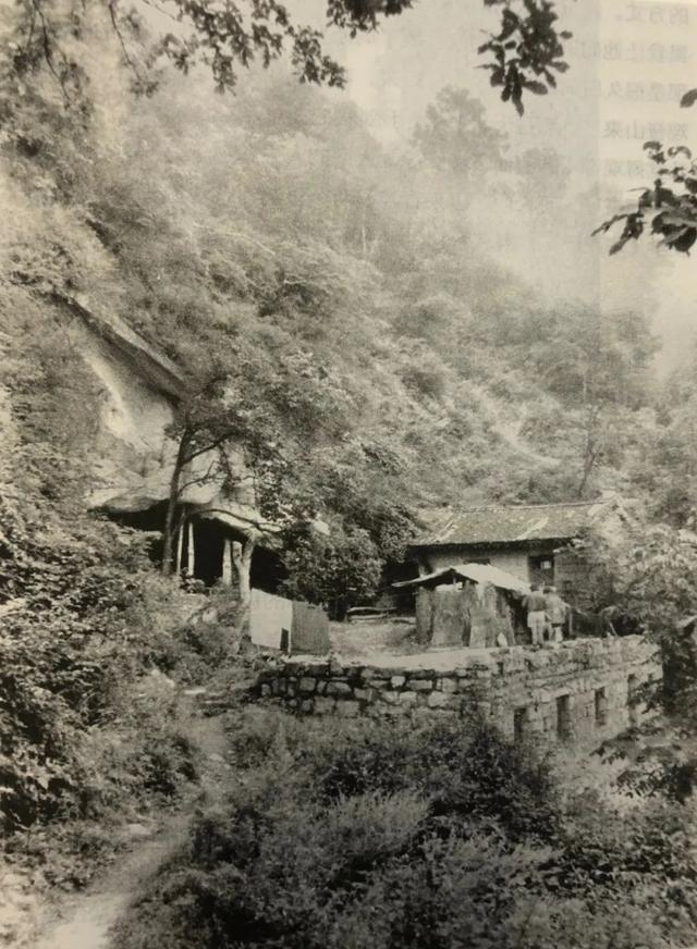 达人分享！影响力评估“空谷幽兰”