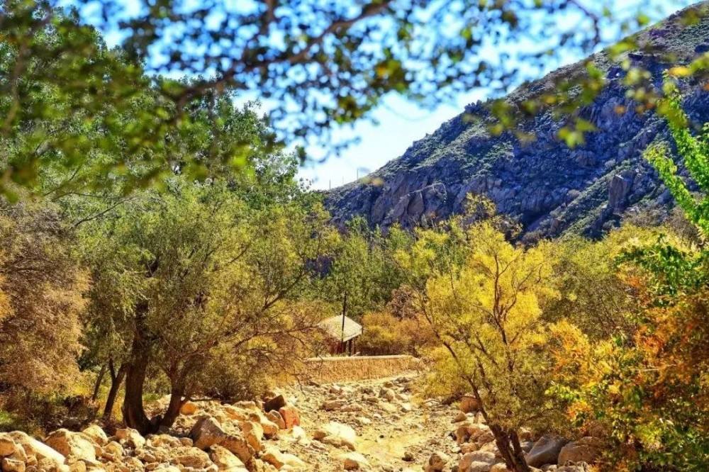 讲解！1000毫秒“雁过留声”